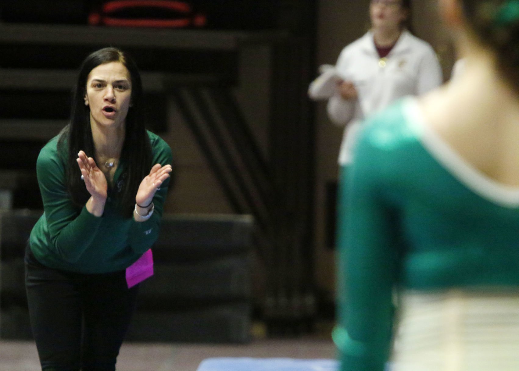 Gymnastics state finals